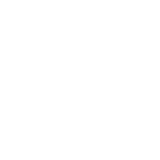 ostadkar logo white